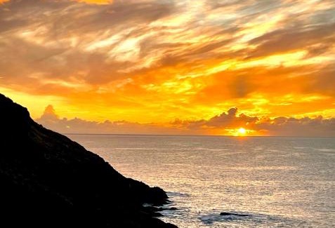 Portloe House | Unique Retreat - 2 bedroom cliff top cottage with large terrace