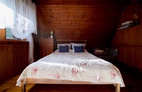 Karniewek House | Unique River Cabin!