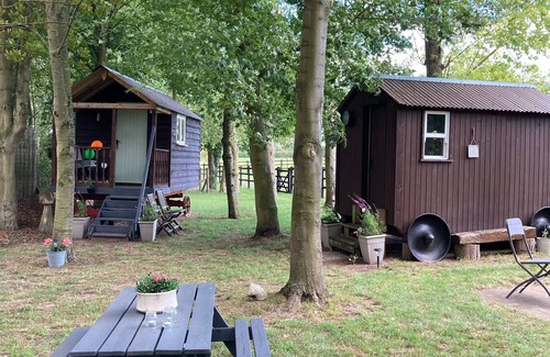 Cambridge Cabin | Unique Shepherds hut retreat in a beautiful farm setting close to cambridge