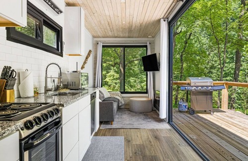 Bryson City Cabin | Unique Stay - 5 Star - Great Location - "Grounded"