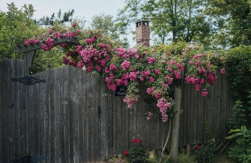 North Truro Cottage | Unique Waterfront Artist Cottage