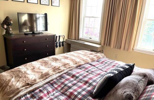 Hancock Apartment | Unique Yeti-Theme Ski On Off Suite Jiminy-Sleeps 4