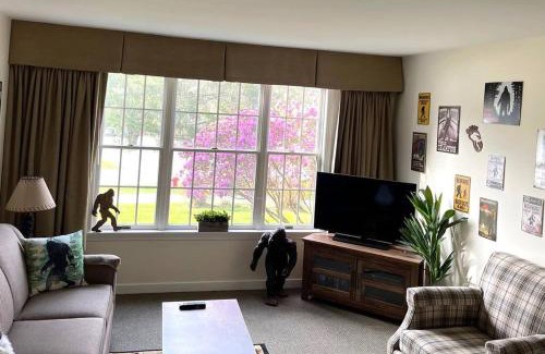 Hancock Apartment | Unique Yeti-Theme Ski On Off Suite Jiminy-Sleeps 4