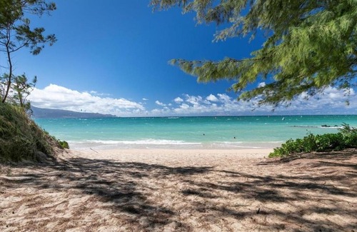 Wailuku Apartment | Unit 11 Maui Ohana Modern Studio