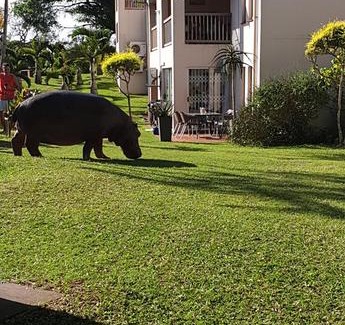 St. Lucia Apartment | Unit 30 The Bridge