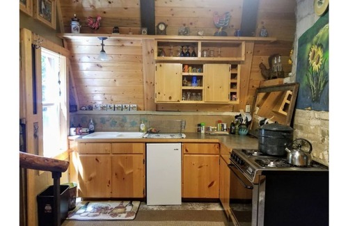 Baker City Cabin | Unplug! Tranquil, Private, Pet-Friendly Rustic Cabin in the Woods