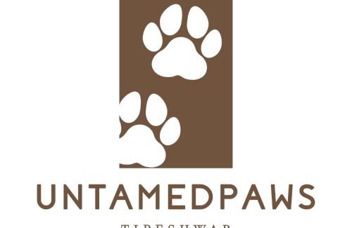 Pandharkawada Other | Untamedpaws