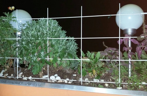 Unterbach Apartment | Unterbache lake is in close proximity with two bathing beaches