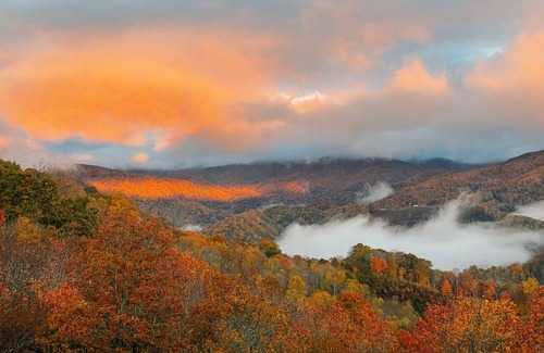 Frank Cabin | Up In Here Mountain House- summer specials!