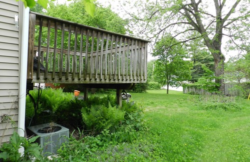 Madison House | Updated 3 bedroom in the UW Arboretum