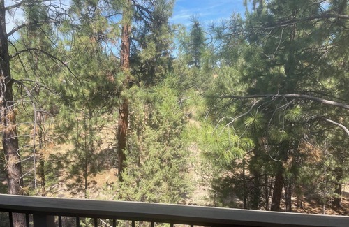 Century West Condo | Updated Mount Bachelor Village 2-bedroom Condo, Enjoy Resort Amenities! with AC