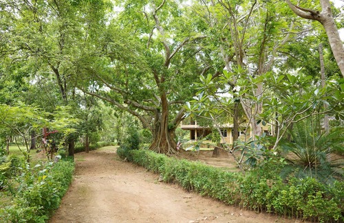 Habarana Villa | UpiesFolly Lakeside Bungalow