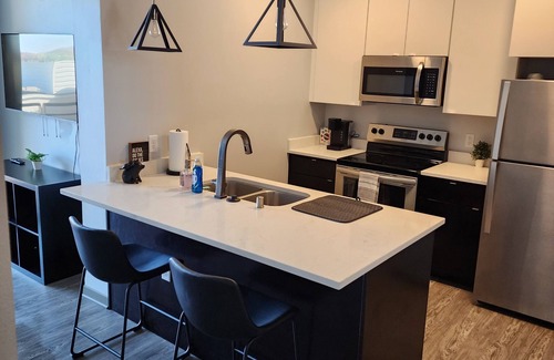 Madison Apartment | Upscale Modern appt near the Airport and Warner Park!