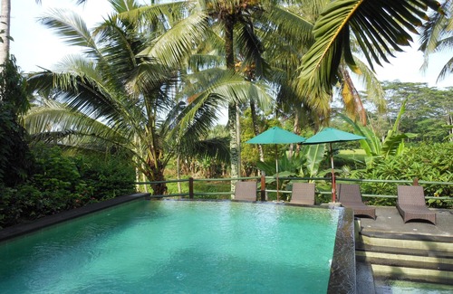 Ubud Apartment | Upstairs 1BR Apartment with Shared Pool