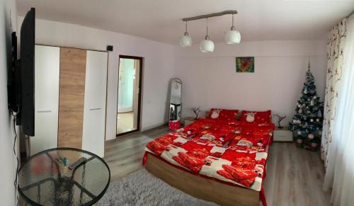 Tirgu Jiu House | Upstairs Residence