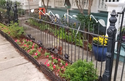 Uptown Historic District Apartment | Uptown Enchantment In the Heart of New Orleans is a charming family friendly
