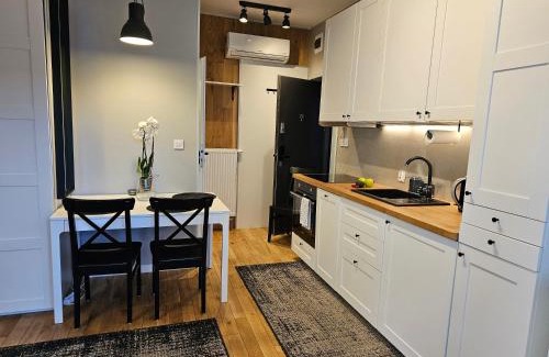Chorzow Apartment | URABN APARTMENTS Studio with garden No 2A Chorzów Katowice FREE PRIVATE PARKING, Self CHECK-IN