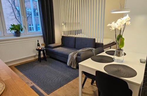 Chorzow Apartment | URBAN APARTMENTS STUDIO No 3A, FREE PRIVATE PARKING, Self CHECK-IN