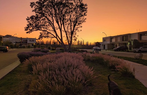 Corregidora House | Urban Campestre (Pet Friendly)