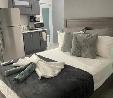 Eleanor Roosevelt Apartment | Urban Lodgings One @ Roosevelt 457
