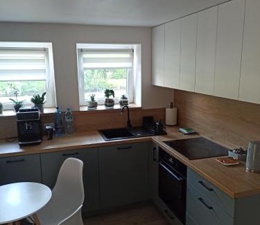 Brochow Apartment | Urban Palace bezpłatne miejsce postojowe