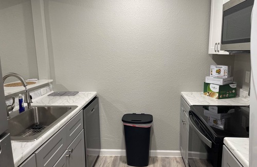 West Arlington Apartment | Urban UTA Retreat Apartment in Charming Arlington with WiFi, AC