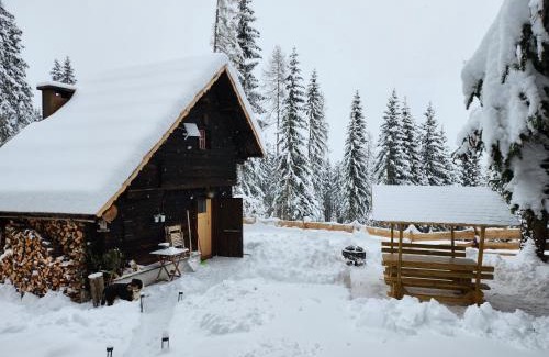 Diex Apartment | Urige Waldbienenhütte