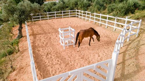 Kuscular House | Urlachi Çiftliği