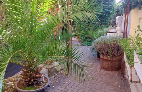Deersheim Apartment | Urlaub im Alten Fachwerk Im Sommer mit Gartenblick Oder im Winter vor dem Kamin