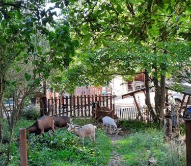 Wartenberg-Rohrbach Other | Urlaub in der Natur mit Tieren - Erlebnis Jurte