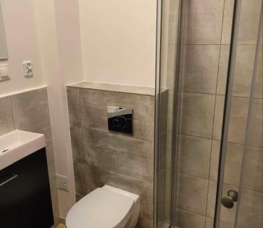 Lomianki Apartment | Urocze studia w Łomiankach, 1- z sauną i tarasem, 2- z kominkiem, 3- ekonomiczne, 7km metro Młociny Warszawa