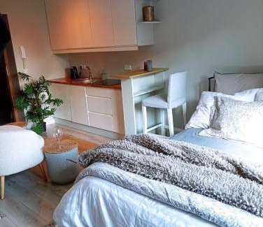 Brynow Apartment | Urocze Studio 7 z parkingiem