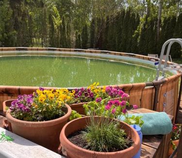 Nowe Guty House | Uroczy dom nad jeziorem Śniardwy tuż obok plaży
