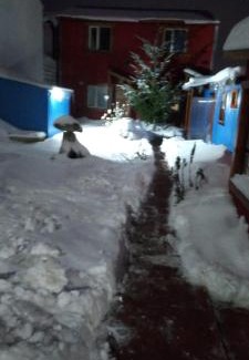 Province of Tierra del Fuego House | Ushuaia centro Complejo de Cabañas