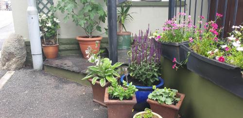 Sennybridge Hotel | Usk And Railway Inn