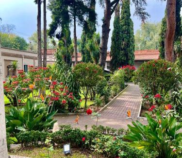 Tlalpan Hotel | Utopía Hotel Boutique