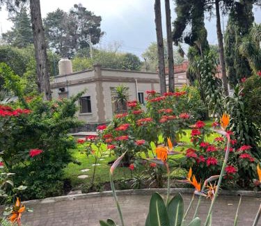 Tlalpan Hotel | Utopía Hotel Boutique