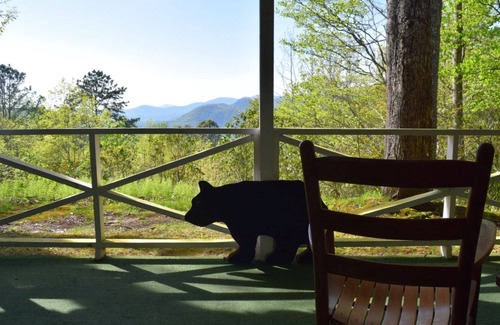 Rabun Gap House | Utopia Mountain Views