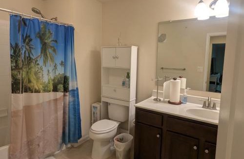 Dale City House | Utopia Rooms
