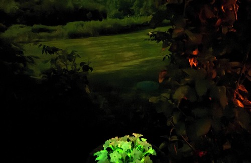 Town of New Scotland House | Utopian Country Retreat w Glowing Flowers