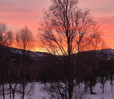 Nordreisa House | Utsikten Feriehus i Bakkeby