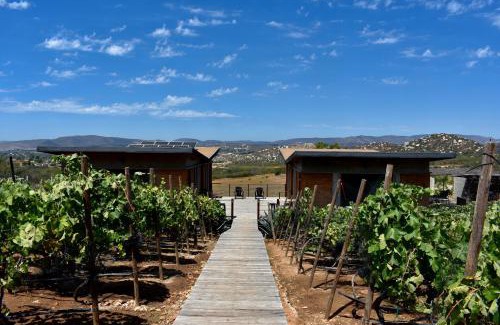 San Antonio de las Minas Bed & Breakfast | UvaUva eco-retreat