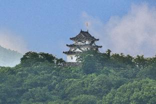 Oyabu Onsen Hotel | Uwajima Oriental Hotel