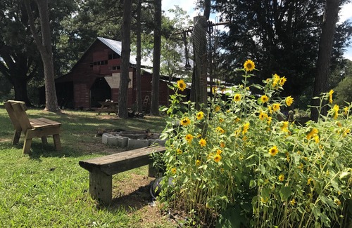 Albemarle RV Rental | Uwharrie Camping Morrow Mountain State Park View Primitive!