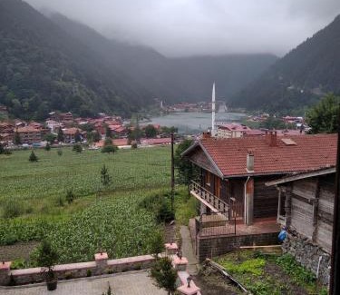 Uzungol Apartment | UZUNGÖL SAKİN APART