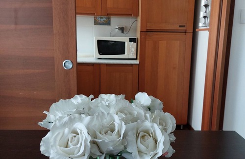 Vicenza Apartment | V&G apartment Vicenza, 4/5 pax, near old town center
