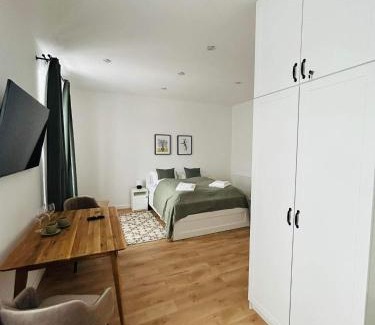 Kezmarok Apartment | V ulicke