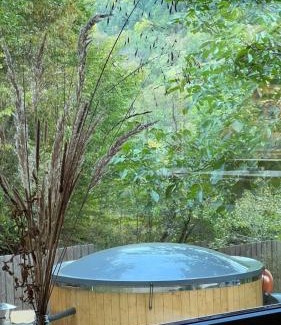 Gura Teghii Villa | V13 Wild Cabin - Traditional mountain cabin with cosy modern rooms