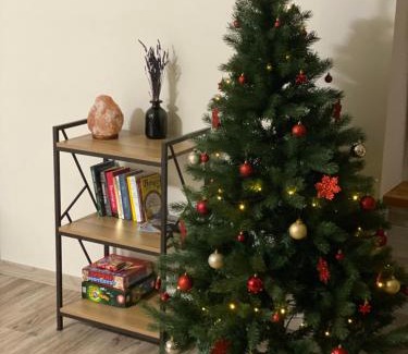 Druskininkai Apartment | V15 Apartment