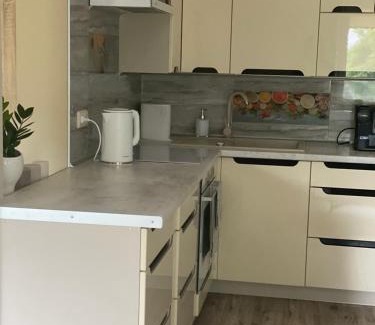 Druskininkai Apartment | V15 Apartment